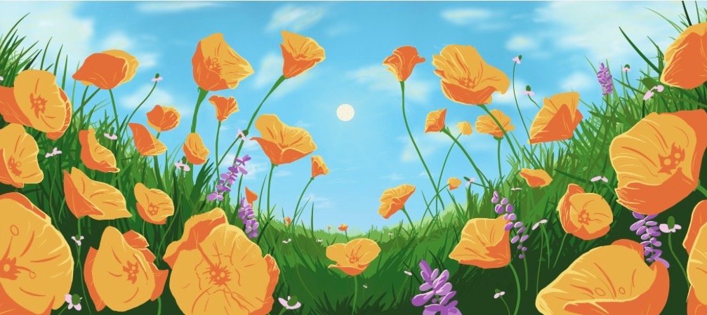 Illustration of a sunny meadow with bright orange poppies and purple wildflowers under a blue sky with scattered clouds. Tall green grass surrounds the flowers, and the sun is visible in the center of the sky.